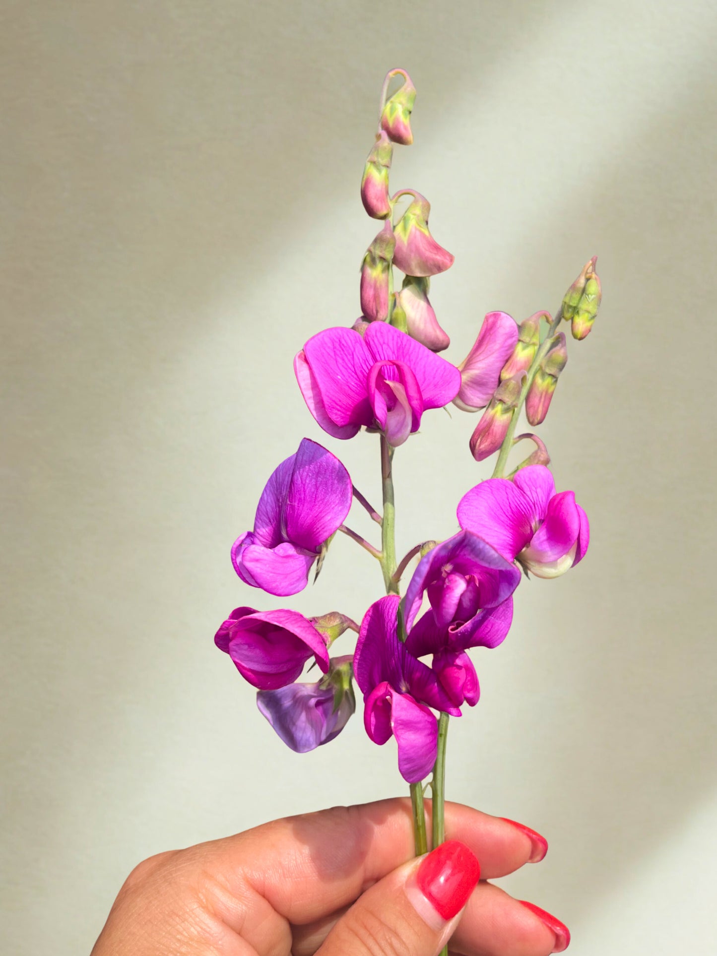 Bright Vitamin C Serum