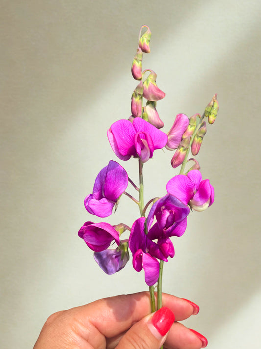 Sérum de vitamine C Bright